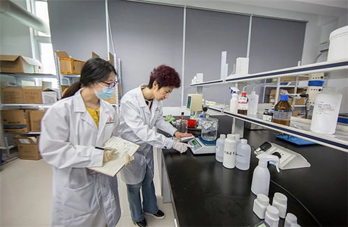 抓品質(zhì)重服務(wù)，海智生物專注品質(zhì)，倚夢(mèng)前行