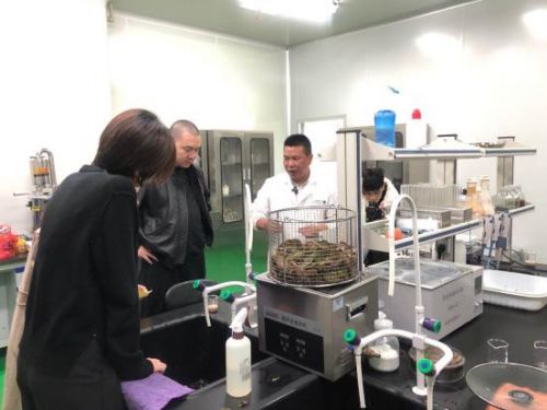 科技賦能農(nóng)業(yè)新篇章 CCTV 1聚焦云谷田園LED植物工廠，珍稀本草金線蓮成功培育引領(lǐng)生物技術(shù)新服務(wù)